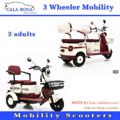 2-Person-Scooters