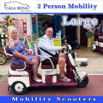 2-Person-Mobility-Scooters-Large-01