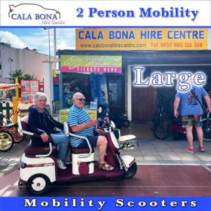 2-Person-Mobility-Scooters-Large-03